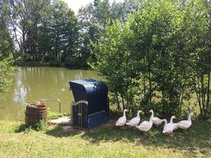 Terrain de lâhĂ©bergement