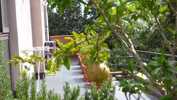 Room, 1 Bedroom, Smoking, Terrace | Exterior - Room-etna Holiday Home Studio Glicine (Nicolosi)
