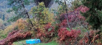 Sea Levanto and Cinque Terre Calm, Cool, Freedom,for Children and pet Parking