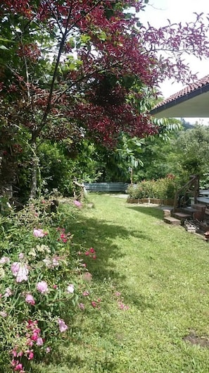 Ein Garten mit einem Weg, einer hölzernen Bank und einer Treppe.