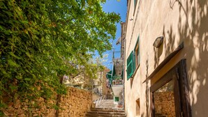 Una estrecha escalera de piedra que sube hacia un edificio, con un muro de piedra a un lado y un árbol al otro.