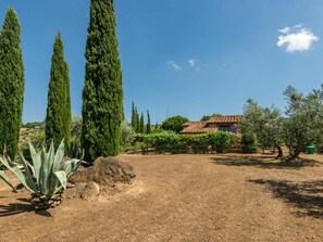 Property grounds - Stunning private villa for 4 guests with private pool, A/C, TV, terrace and panoramic view (Scansano)