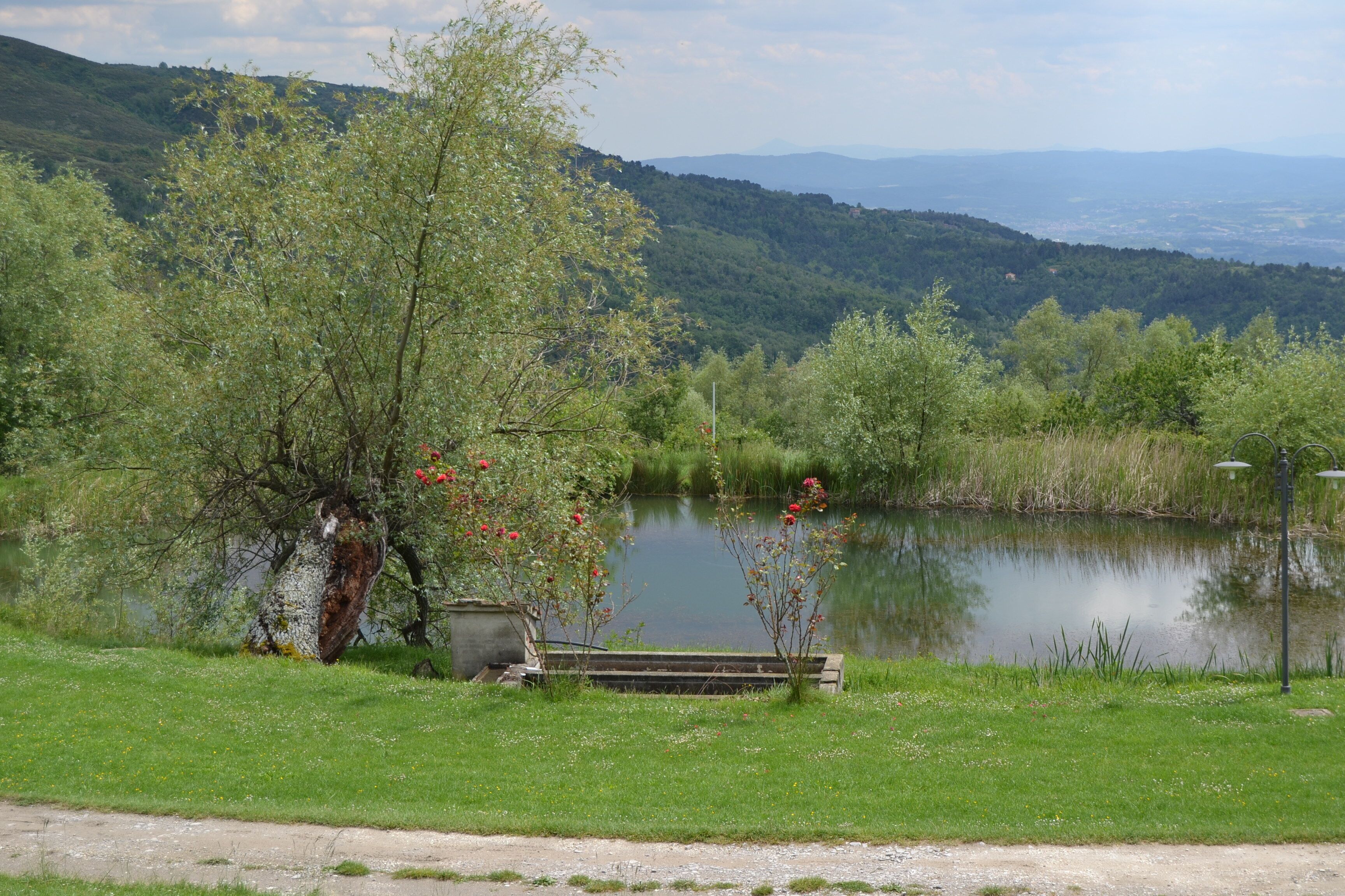 Apartment, 1 Bedroom, Garden View | Fishing