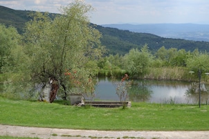 Apartment, 1 Bedroom, Garden View | Fishing