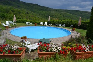 View from property - 3 Rooms Flat Between Florence and Arezzo - Enjoy Italian Beauty! (Castelfranco Piandisco)