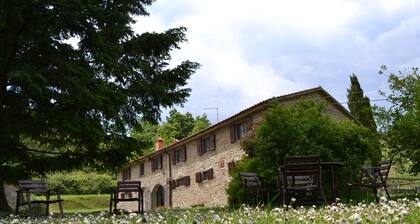 2 Cozy Rooms in Amazing Tuscany With Rustic Style