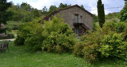 2 Cozy Rooms in Amazing Tuscany With Rustic Style