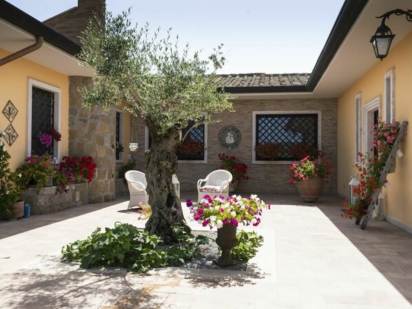 Un patio con un árbol grande, plantas en macetas y mobiliario exterior.
