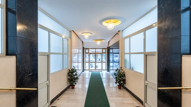 A hallway with a green carpet, black marble walls, and potted plants. - Studio Near San Pietro (Rome)