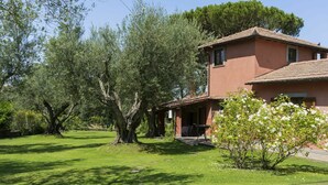 Une maison avec un jardin, une terrasse et un arbre.