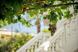 Garden - Mavrias Complex (Zakynthos)