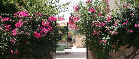 House, 1 Bedroom, Terrace, Garden View | Front of property