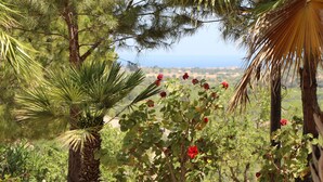 Un giardino con una palma, fiori rossi e vista sul paesaggio.