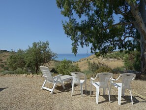 Property grounds - L Agave e la Palma Nana (Ribera)