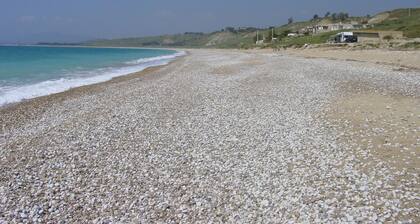 L Agave e la Palma Nana