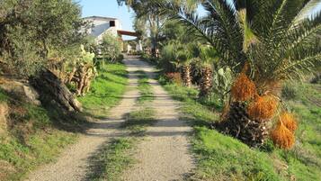 Villa, 3 Bedrooms, Terrace, Garden View | Kawasan hartanah