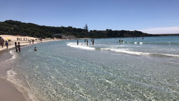Ein Strand mit klarem Wasser, sandigem Ufer und einer bewaldeten Hügelkette im Hintergrund.