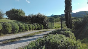 Villa, 2 Bedrooms, Smoking, Private Pool | View from property