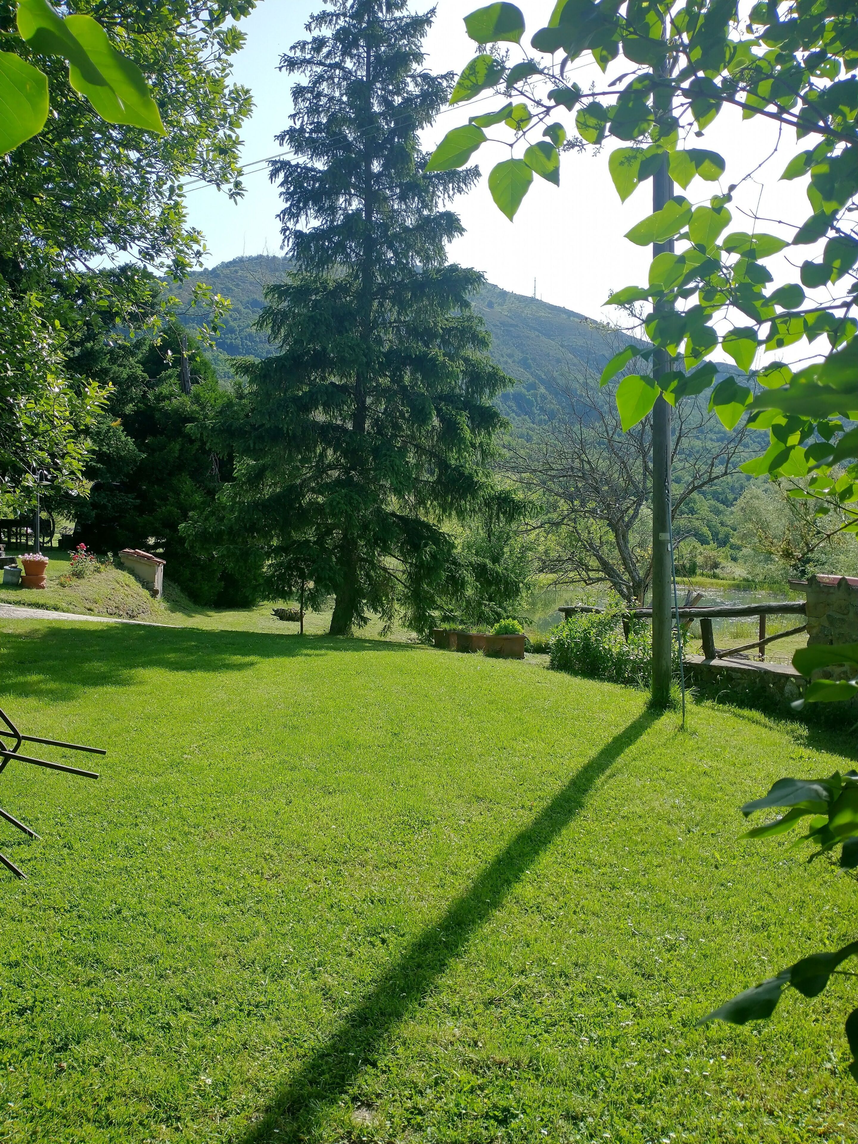 A grassy outdoor area with a large tree, a stone wall, and a view of a mountain.