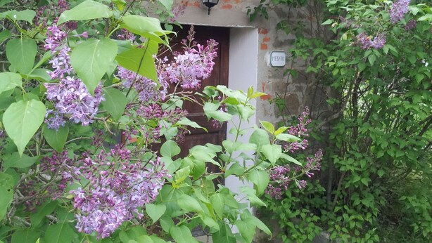 Chalet, 1 Bedroom, Smoking, Fireplace | Garden