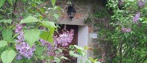 Chalet, 1 chambre, fumeur, cheminée | Jardin