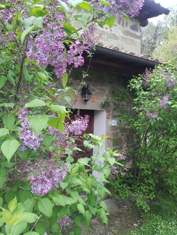Chalet, 1 chambre, fumeurs, cheminée | Jardin