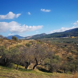 Área da propriedade