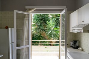 Departamento, 1 habitación, Terraza | Balcón