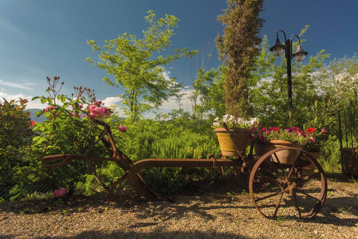 Un jardín rústico con un carro antiguo, plantas en macetas y un árbol alto.