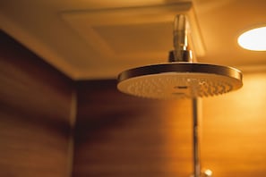 Shower, rainfall showerhead, hair dryer, slippers