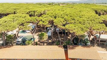Studio (Orbetello) | 2 bedrooms