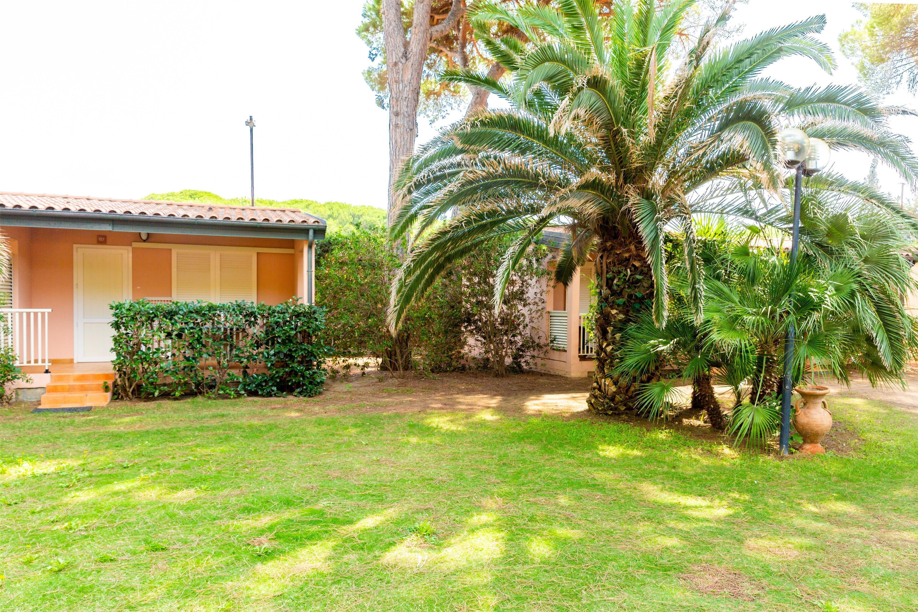 A house with a small front yard, a palm tree, and a pathway leading to the entrance.