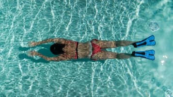Seasonal outdoor pool, pool loungers
