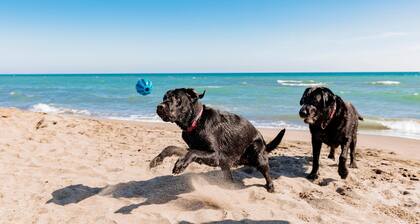 Gitavillage Club Degli Amici