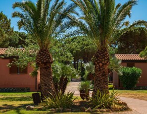 A pathway leading to a building with a tiled roof, surrounded by palm trees and other greenery. - Gitavillage Club Degli Amici (Pescia Romana)