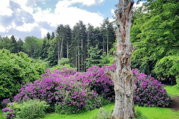 Pemandangan dari properti