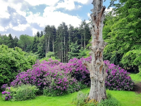View from property. Pederstrup Bed and Breakfast