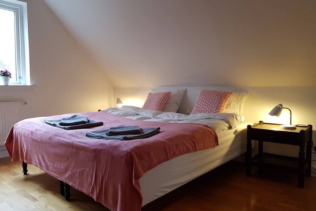 A neatly made bed with a pink blanket and pillows, a bedside table with a lamp, and a window with curtains.