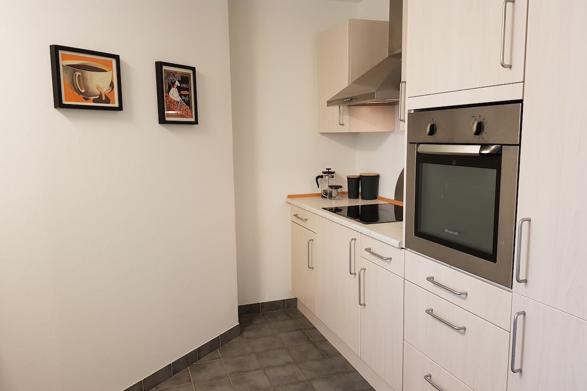 Apartamento, 2 quartos, para não fumantes, terraço | Cozinha privada | Geladeira grande, micro-ondas, fogão, lava-louças