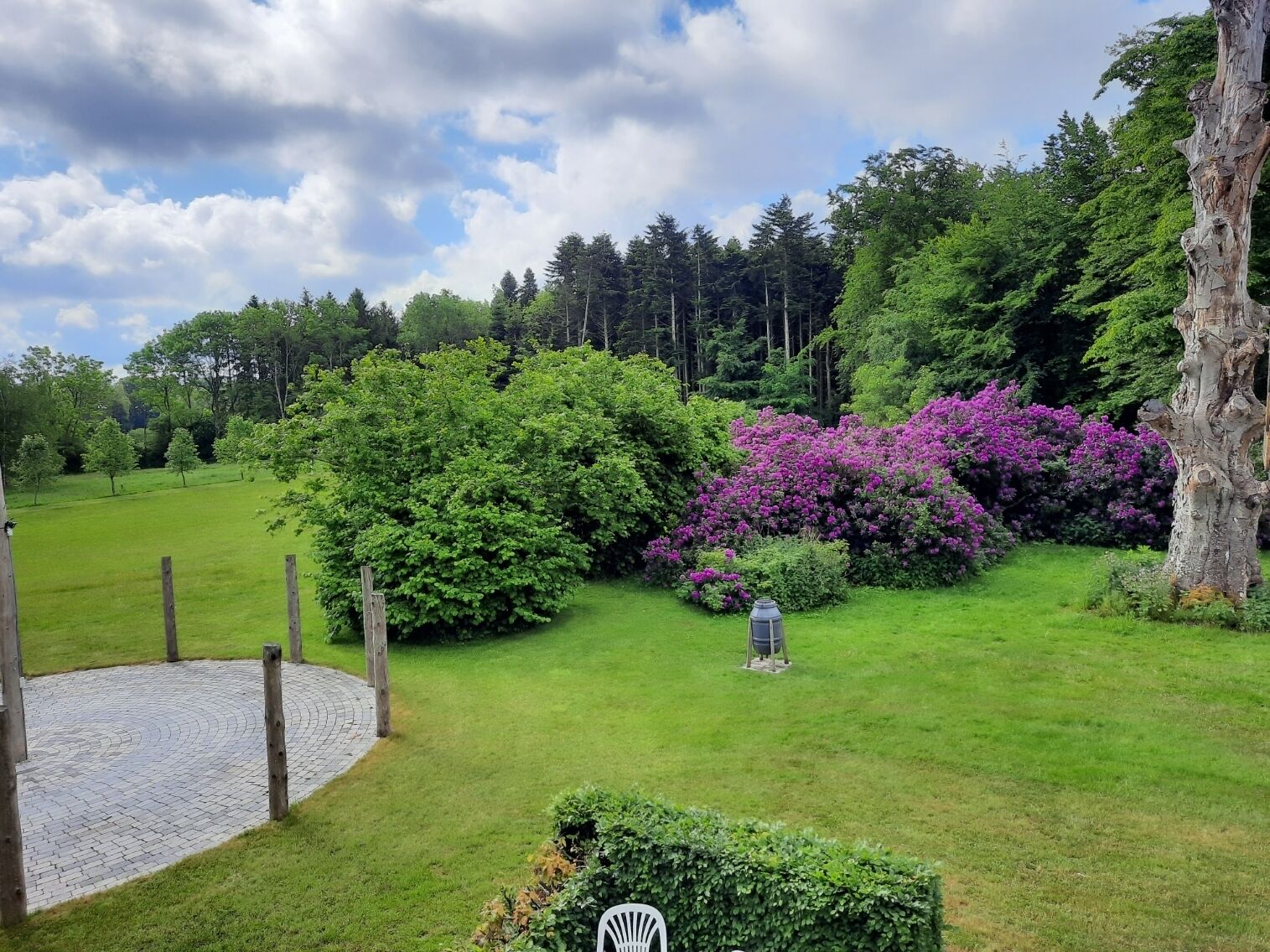 A garden with a paved circular area, surrounded by lush greenery and flowering bushes.