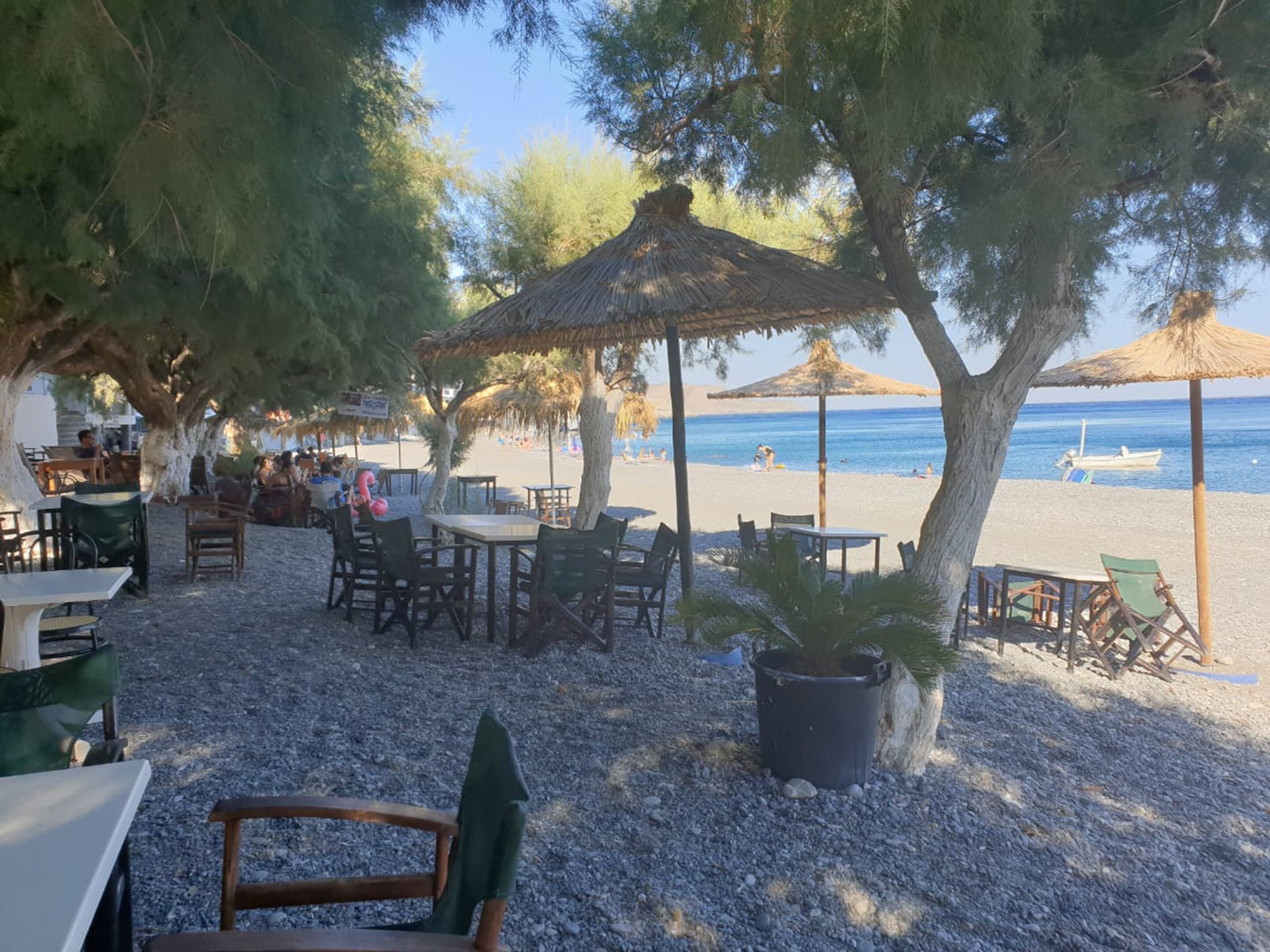 Un espace extérieur aménagé avec des tables et des chaises, installé sous des arbres et offrant une vue sur une plage où se trouve un bateau à flot.