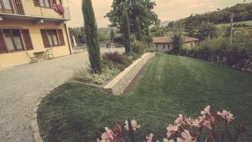 Taman