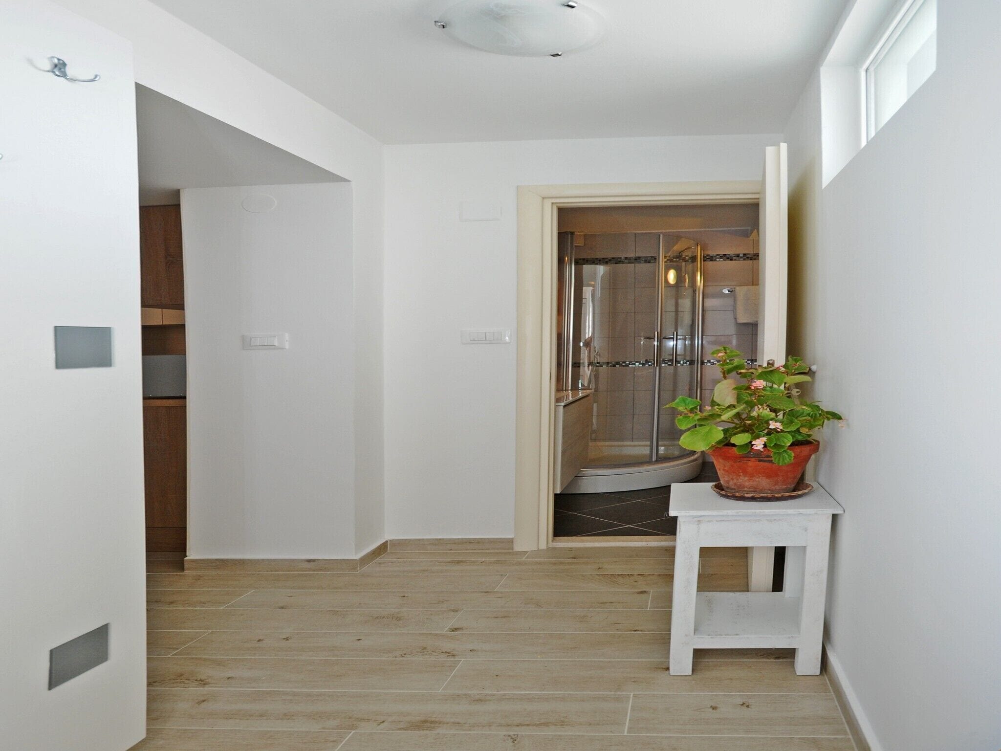 A narrow hallway with a wooden floor, a white wall, and a door leading to a shower area with a glass door.