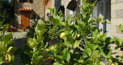 3 Rooms Flat in a Green Tuscany Valley