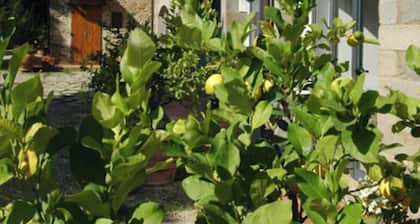 3 Rooms Flat in a Green Tuscany Valley