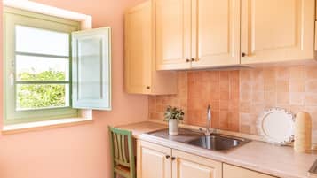 Premium Apartment | Private kitchen