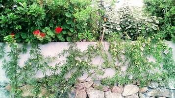 Apartment, 2 Bedrooms, Smoking, Patio | Exterior