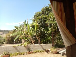 A garden with various plants, a concrete wall, and a wooden structure.