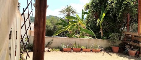 A courtyard with potted plants, a concrete wall, and a metal gate.