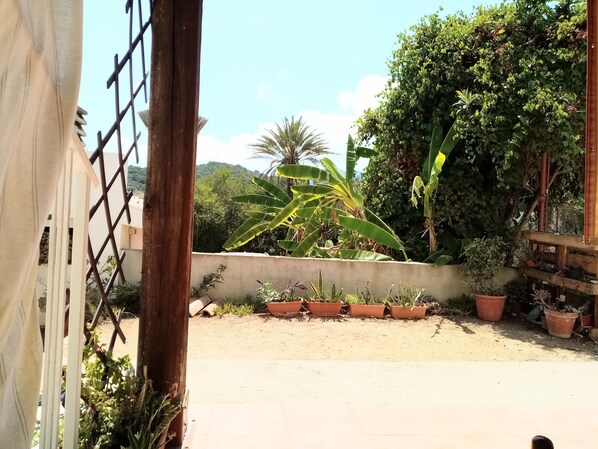 A courtyard with potted plants, a concrete wall, and a metal gate. - Tertenia Ground Floor South 3 min Walk From the sea (Tertenia)